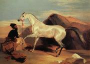 Sir Edwin Landseer Arab stable ion china oil painting reproduction